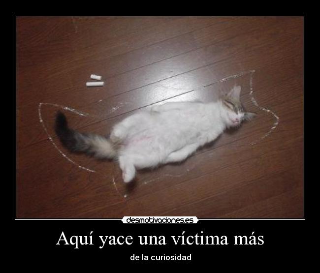 Aquí yace una víctima más -