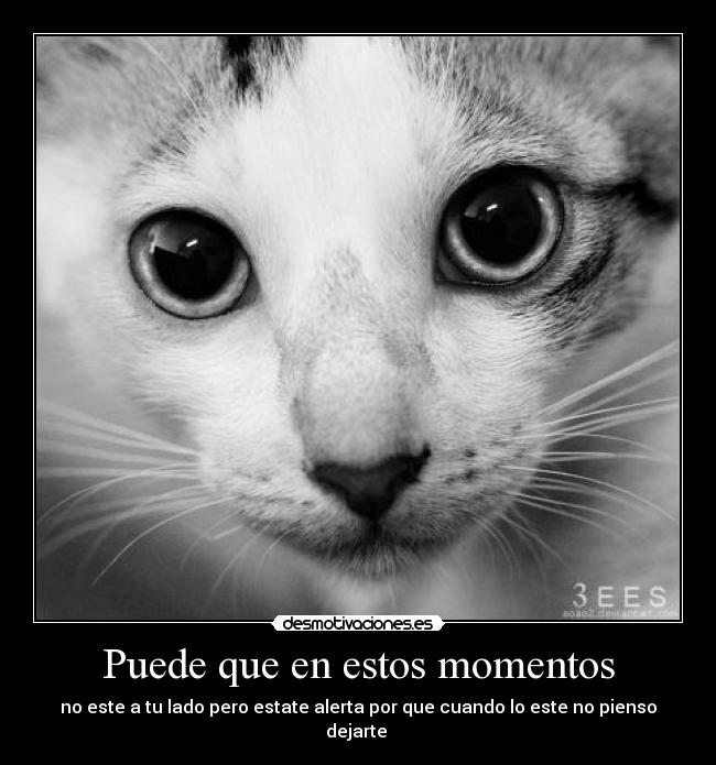 Puede que en estos momentos -