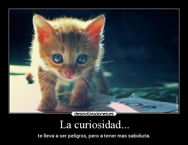 La curiosidad... -