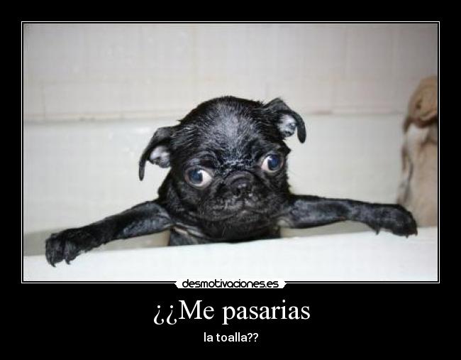 ¿¿Me pasarias - 