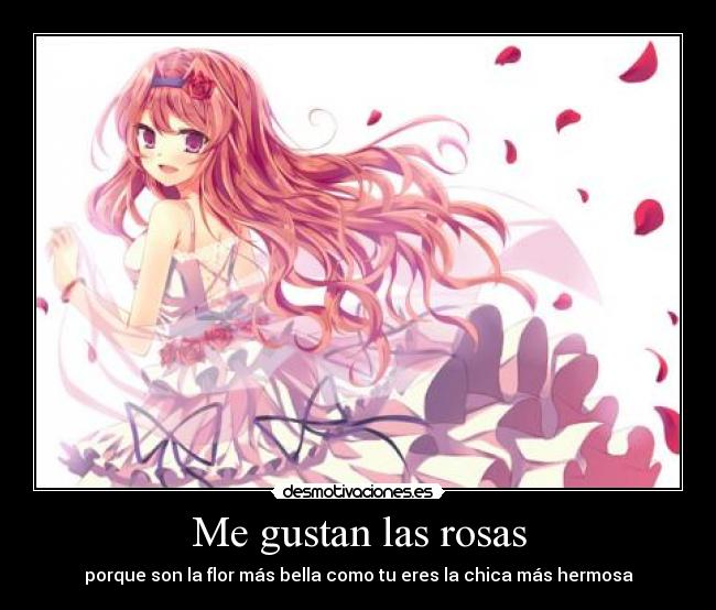 carteles sary quiero desmotivaciones