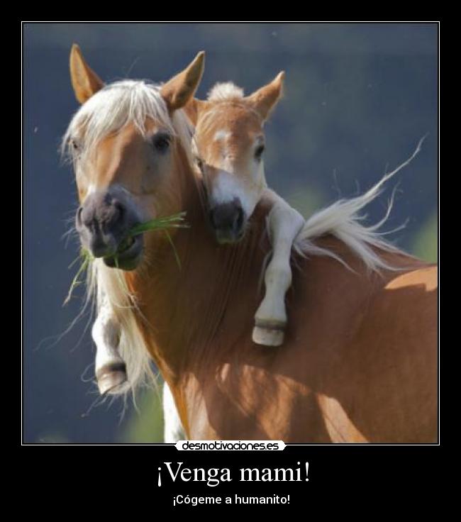 ¡Venga mami! -