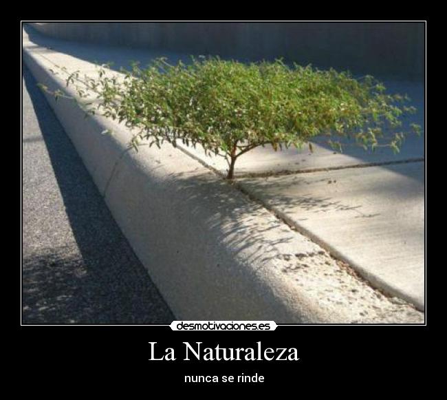La Naturaleza - 