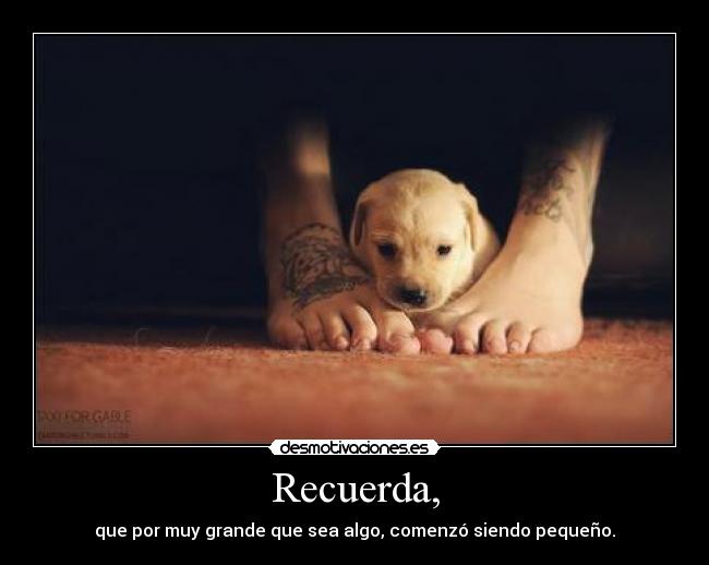 Recuerda, -