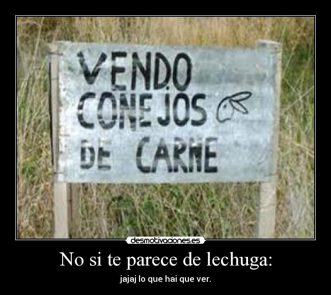 No si te parece de lechuga: - jajaj lo que hai que ver.