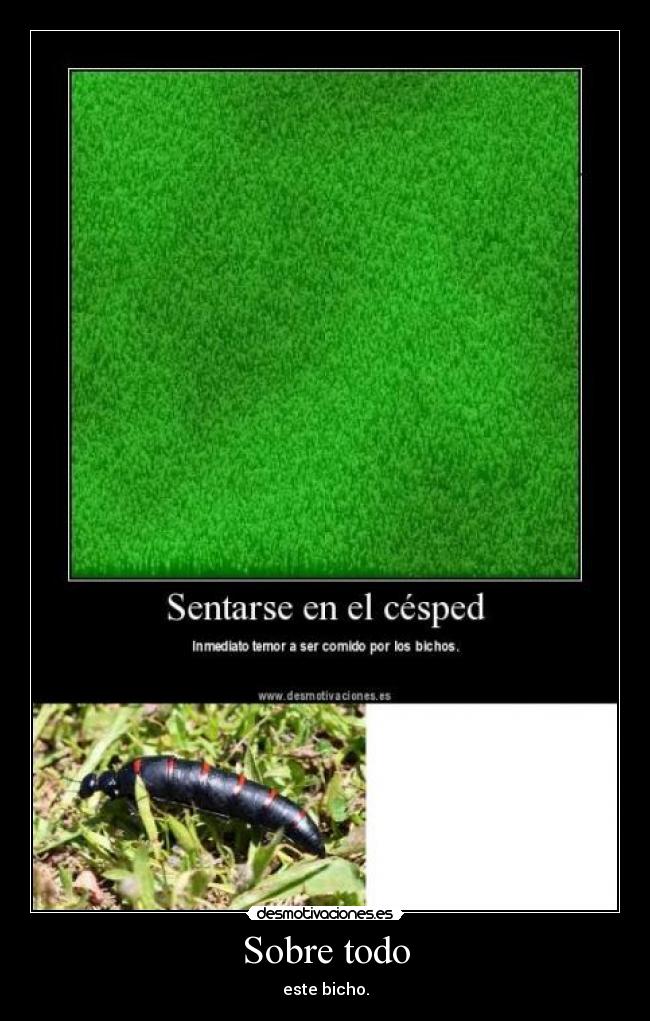 Sobre todo - este bicho.