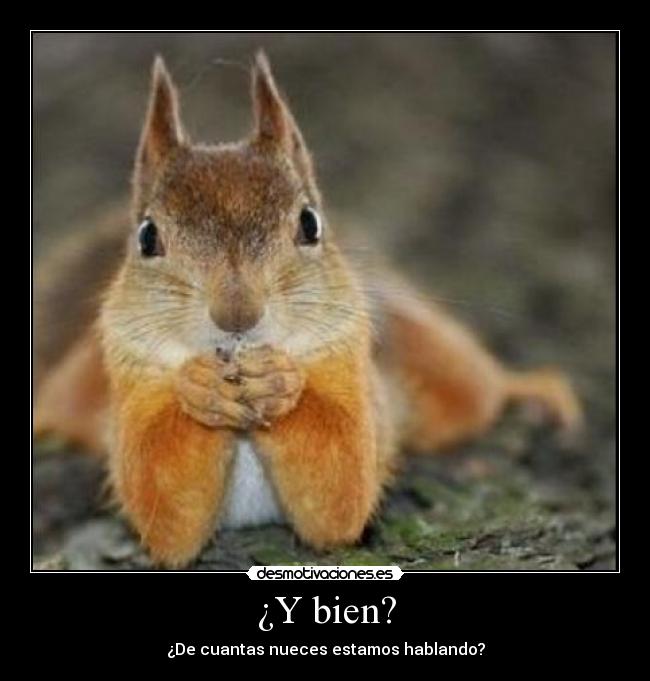 ¿Y bien? -