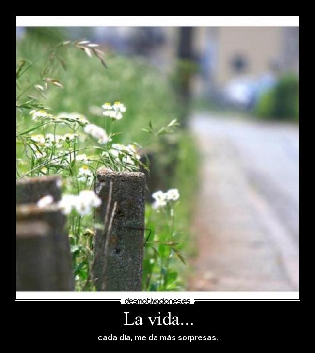 La vida... -
