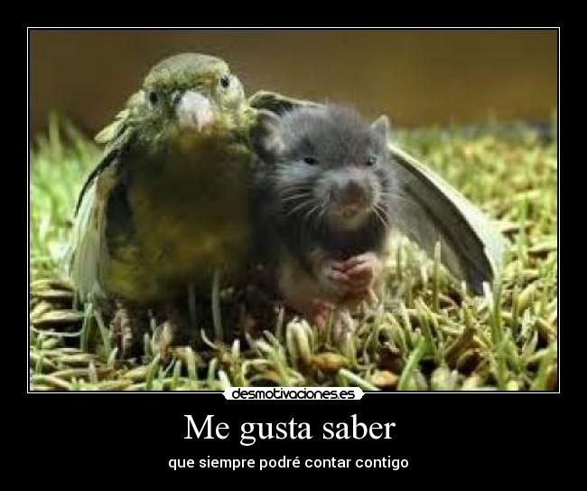Me gusta saber  - que siempre podré contar contigo ♥ 