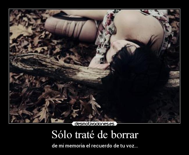 Sólo traté de borrar - 