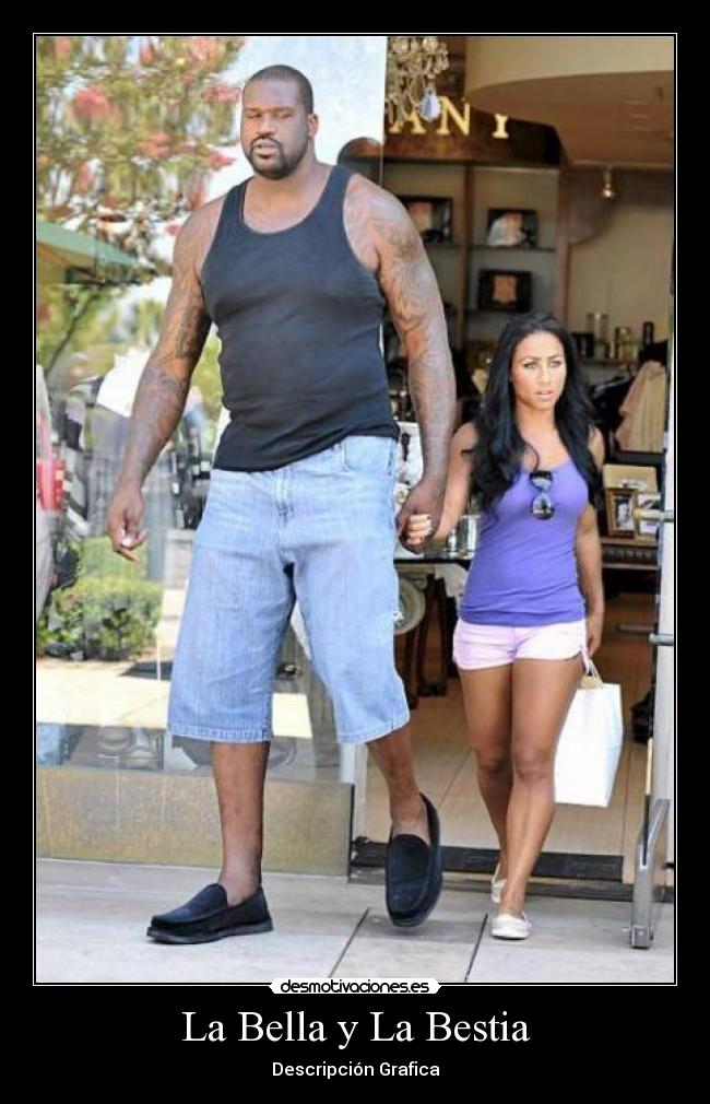 La Bella y La Bestia - Descripción Grafica