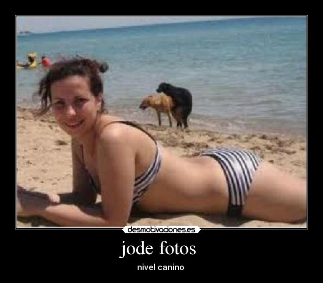 jode fotos  - nivel canino 