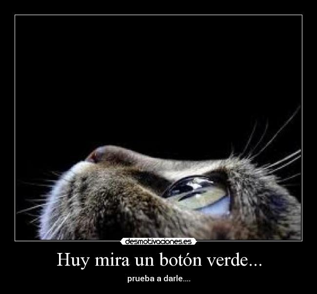 Huy mira un botón verde... - prueba a darle....