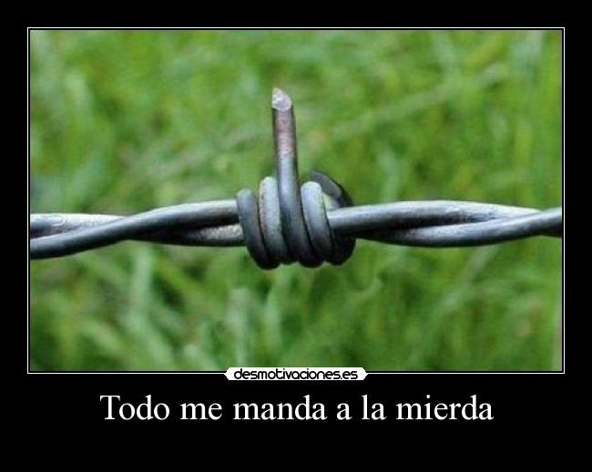 carteles mgc776 desmotivaciones