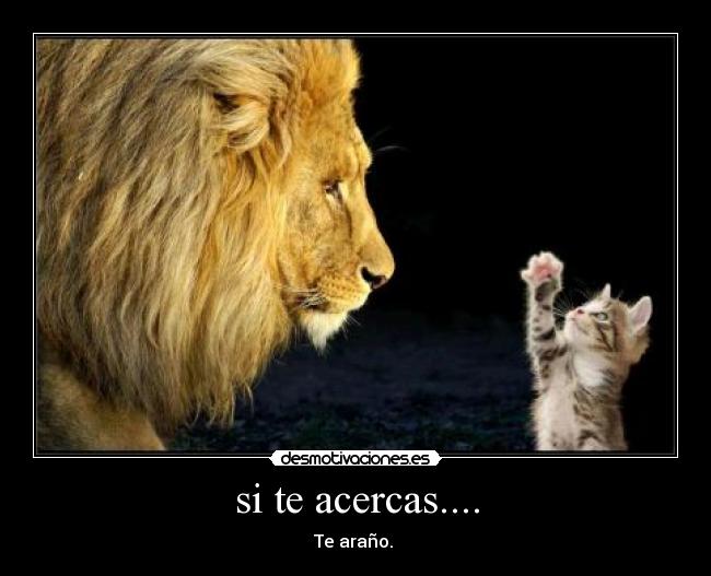 si te acercas.... -