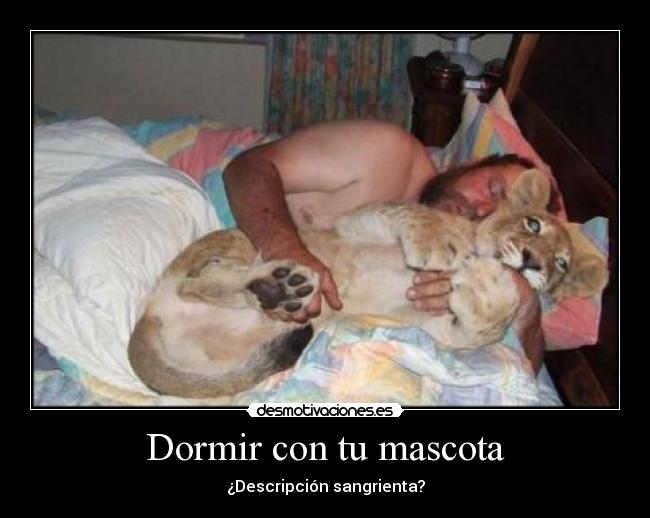 Dormir con tu mascota - ¿Descripción sangrienta?