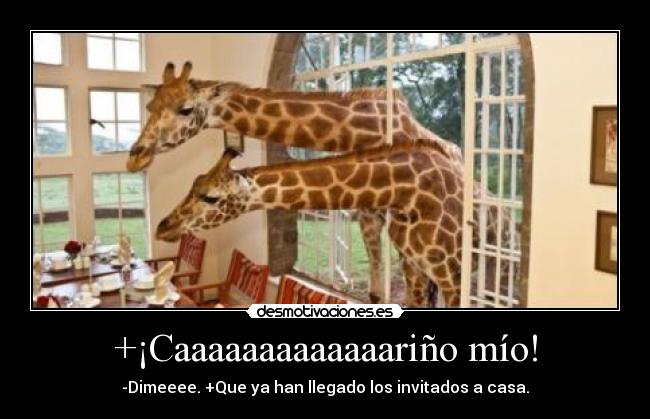 +¡Caaaaaaaaaaaaariño mío! - 