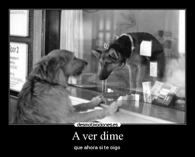 A ver dime - que ahora si te oigo