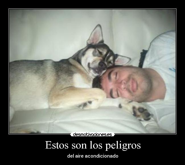 Estos son los peligros -