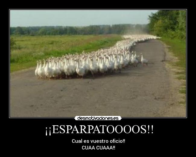 ¡¡ESPARPATOOOOS!! - Cual es vuestro oficio!!
CUAA CUAAA!!