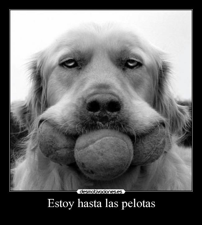 Estoy hasta las pelotas - 