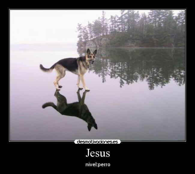 Jesus - nivel:perro