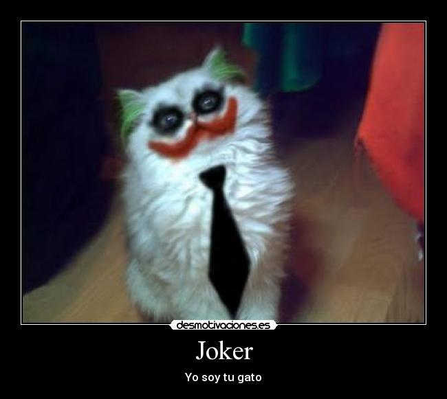Joker - Yo soy tu gato