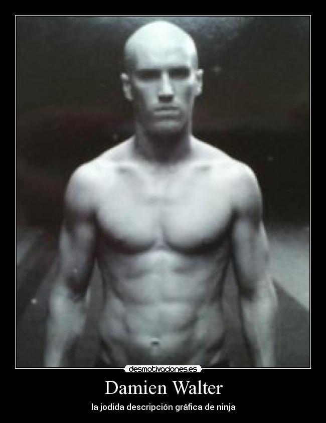 Damien Walter - la jodida descripción gráfica de ninja