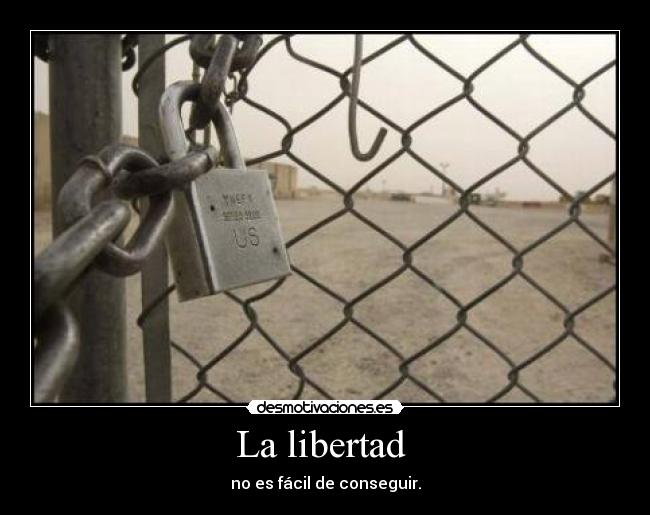 carteles libertad mrscarface desmotivaciones