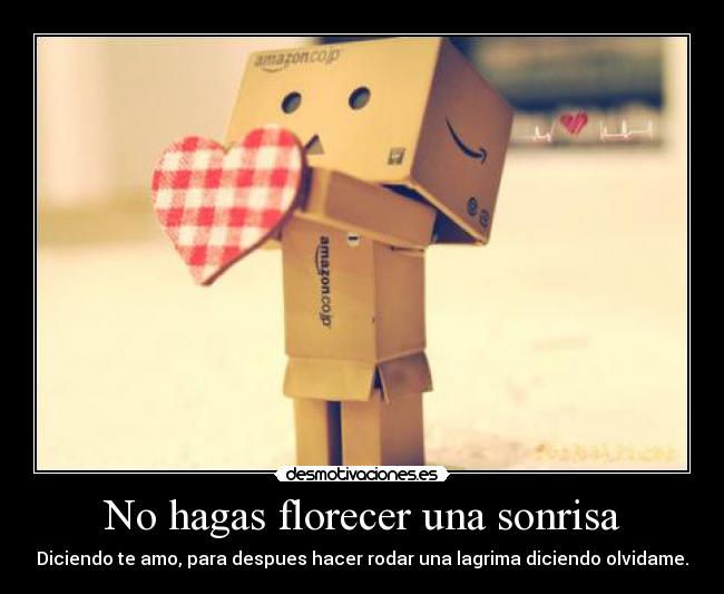 No hagas florecer una sonrisa -