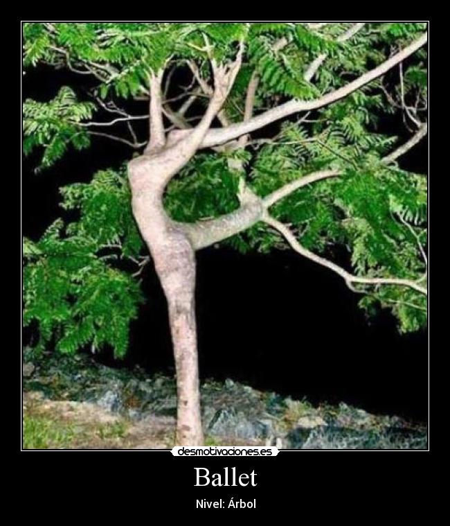 carteles arbol ballet desmotivaciones