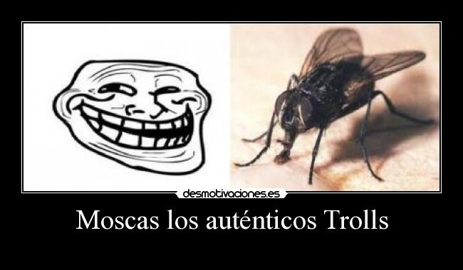 carteles loreen desmotivaciones