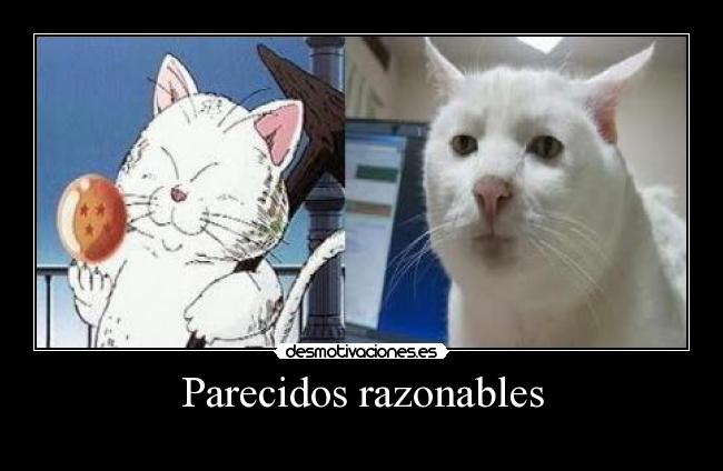 Parecidos razonables -