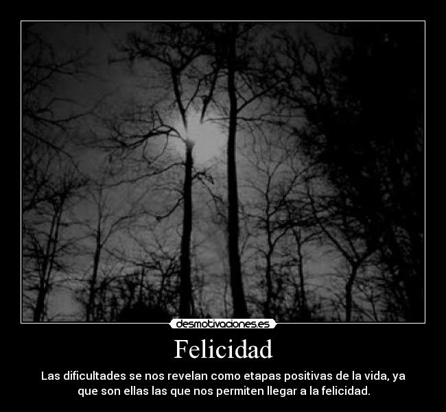 Felicidad - Las dificultades se nos revelan como etapas positivas de la vida, ya
que son ellas las que nos permiten llegar a la felicidad.