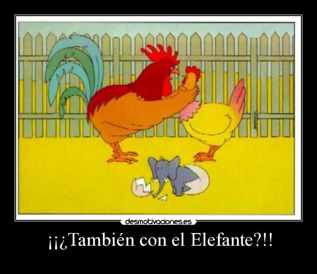 ¡¡¿También con el Elefante?!! -