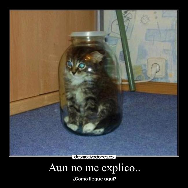 Aun no me explico.. - 