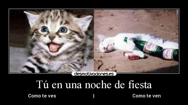 Tú en una noche de fiesta -