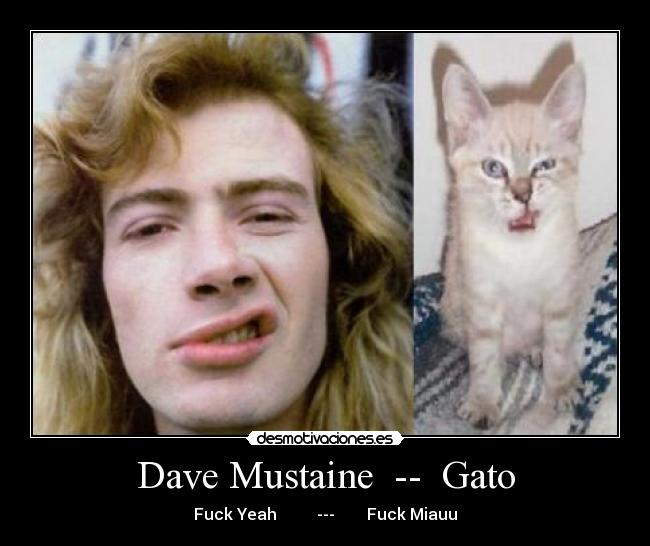 Dave Mustaine  --  Gato - Fuck Yeah          ---        Fuck Miauu