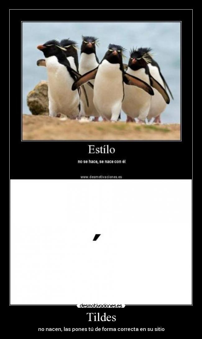 Tildes - no nacen, las pones tú de forma correcta en su sitio
