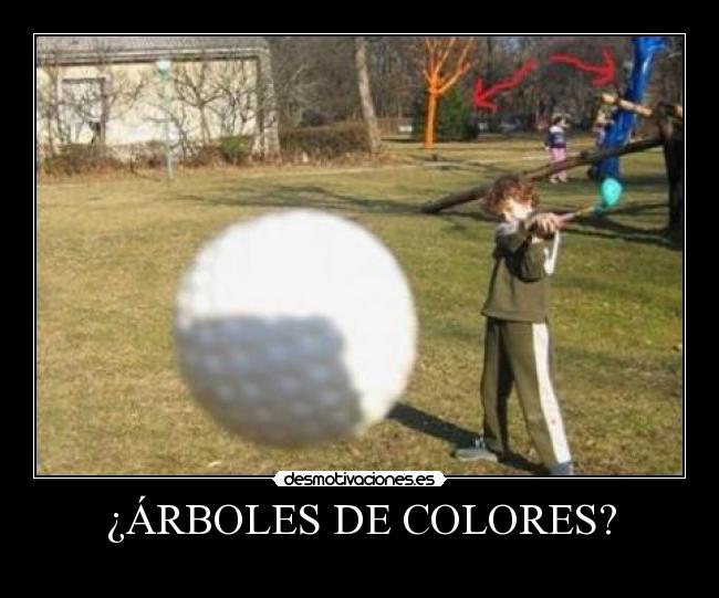 ¿ÁRBOLES DE COLORES? -