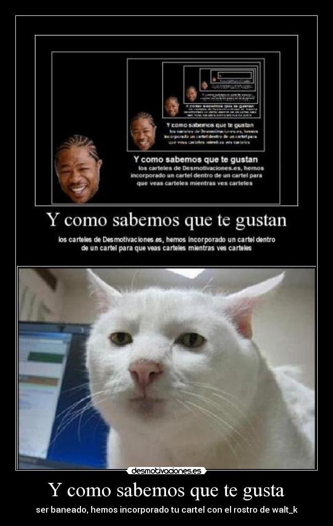 carteles walt_k cartel baneado tetas gatosanimal desmotivaciones