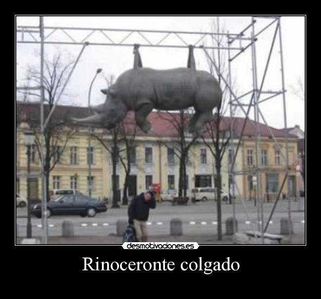 Rinoceronte colgado - 