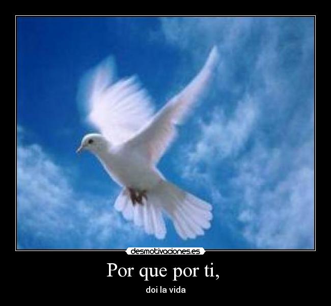 carteles 1111 desmotivaciones