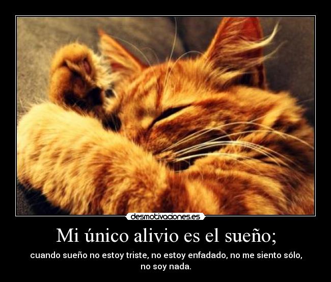 Mi único alivio es el sueño; - cuando sueño no estoy triste, no estoy enfadado, no me siento sólo, no soy nada.