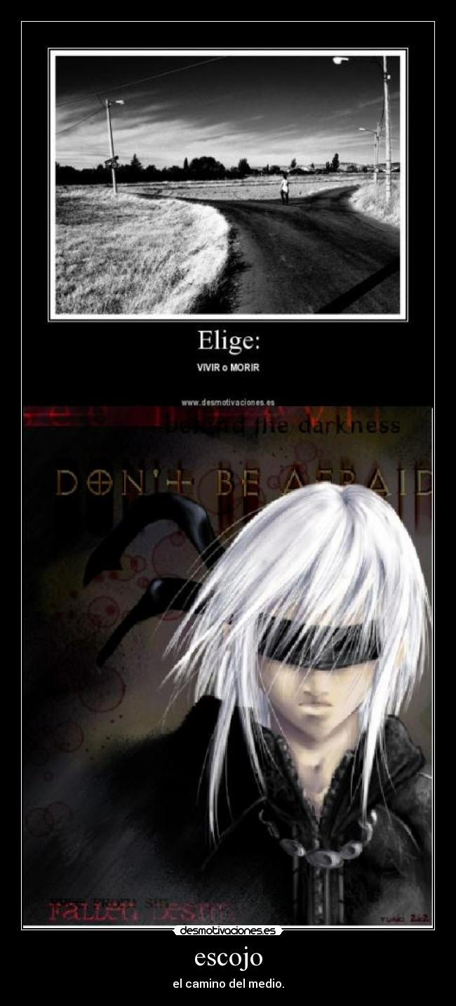 escojo - el camino del medio.