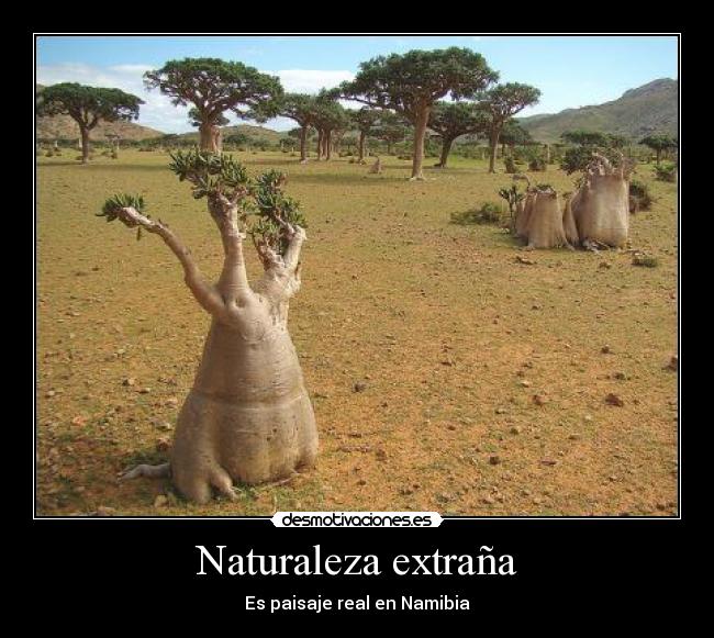 Naturaleza extraña - Es paisaje real en Namibia