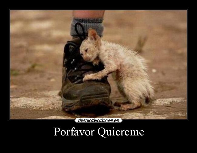 Porfavor Quiereme -