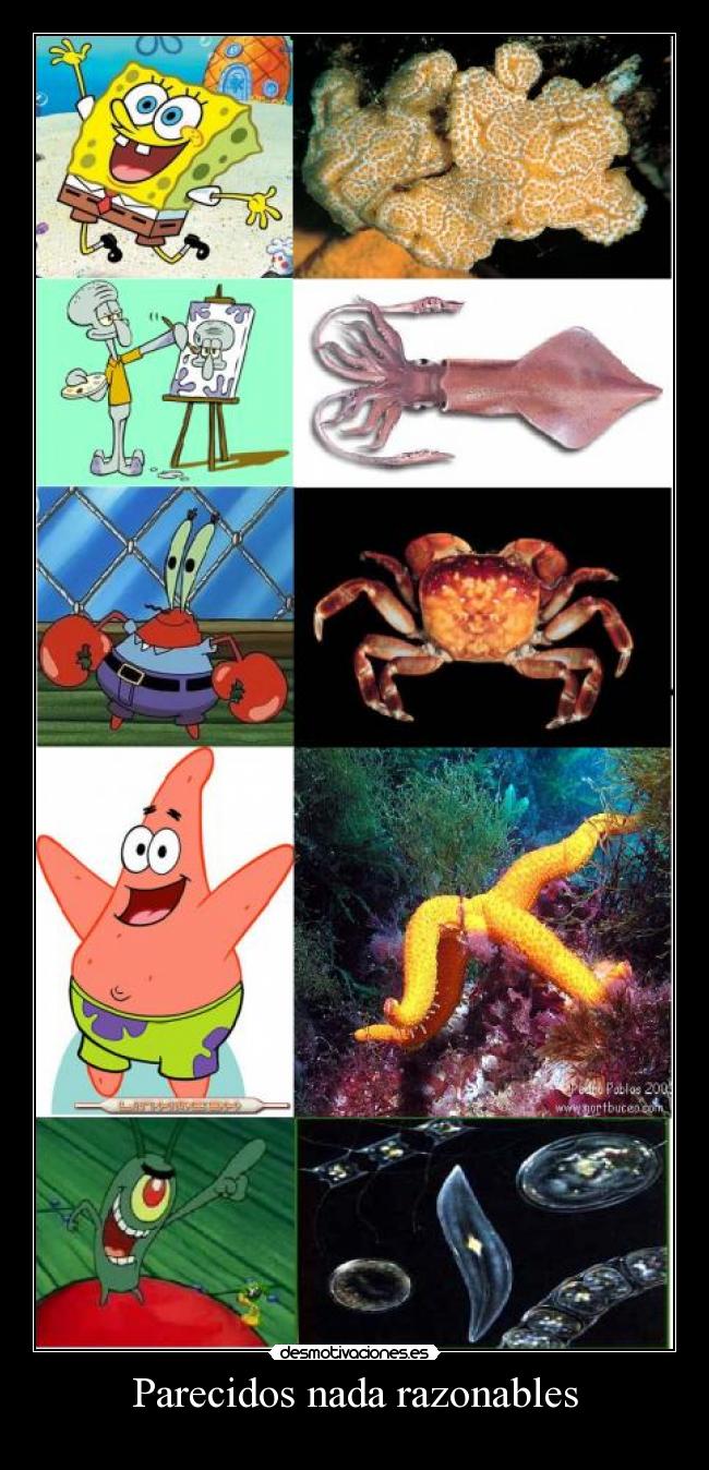 Parecidos nada razonables -