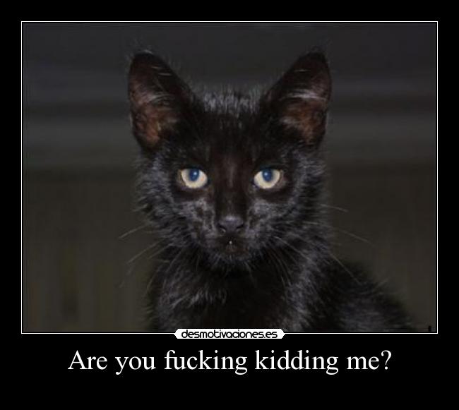 Are you fucking kidding me? - 