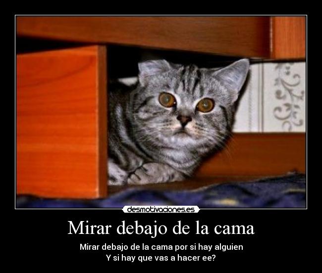 carteles tonterias rutinas miedo risas mirar debajo cama desmotivaciones